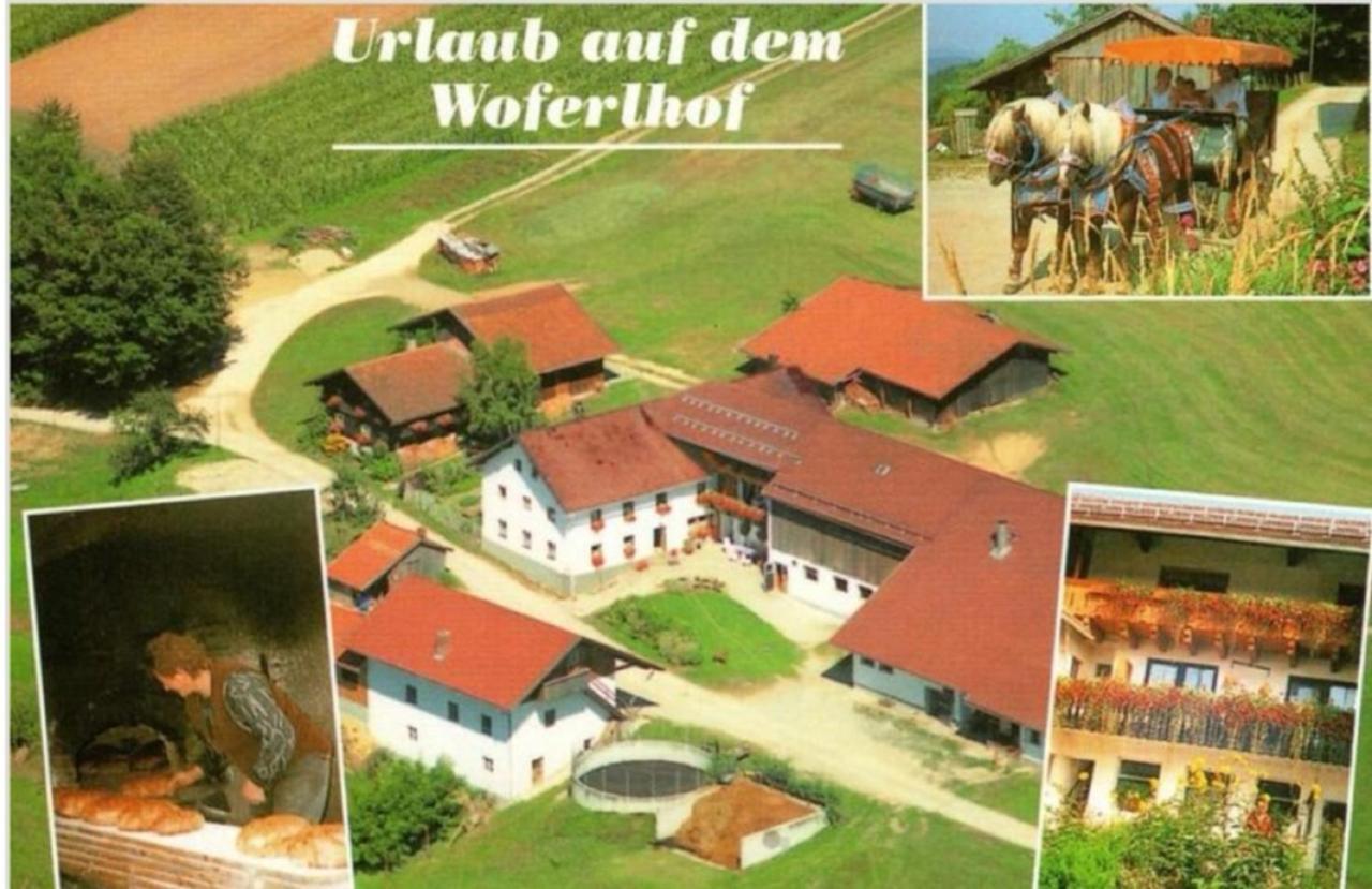 Woferlhof, Ferienhof Boxhorn Böbrach Eksteriør bilde