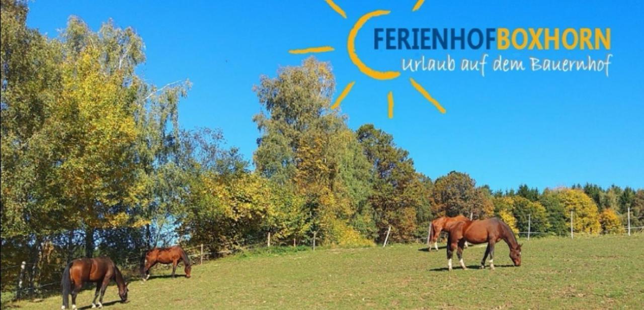 Woferlhof, Ferienhof Boxhorn Böbrach Eksteriør bilde