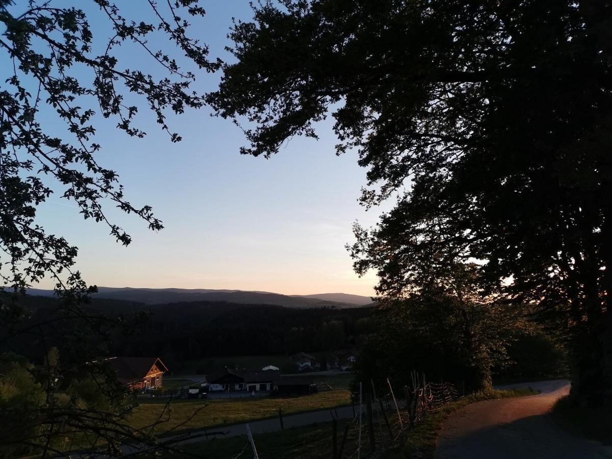 Woferlhof, Ferienhof Boxhorn Böbrach Eksteriør bilde