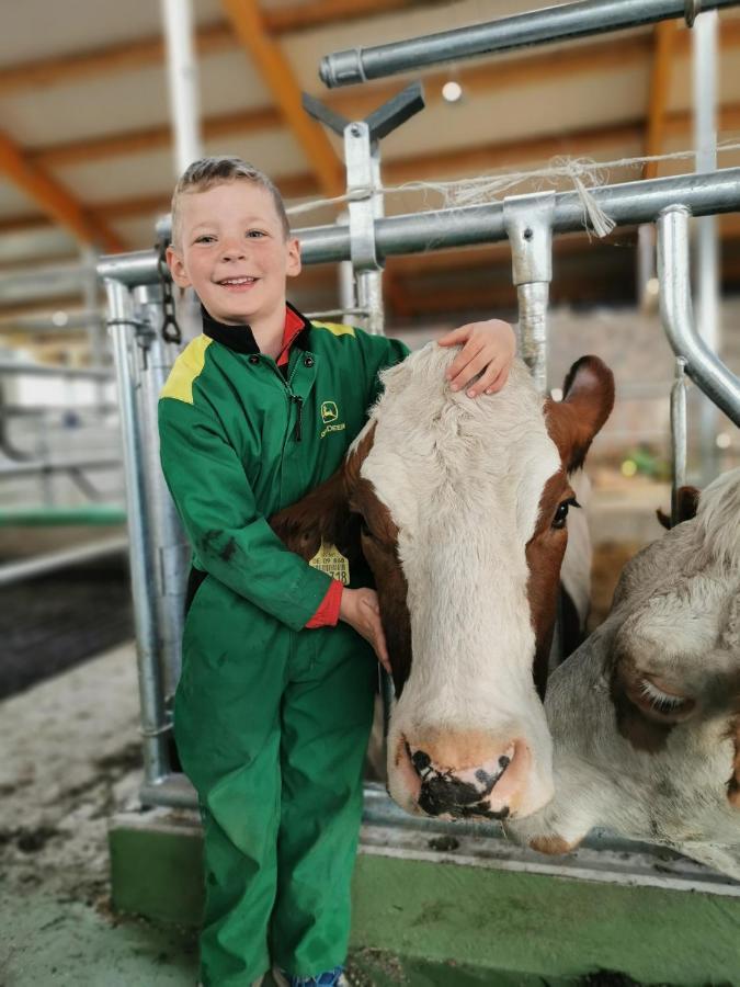 Woferlhof, Ferienhof Boxhorn Leilighet Böbrach Eksteriør bilde