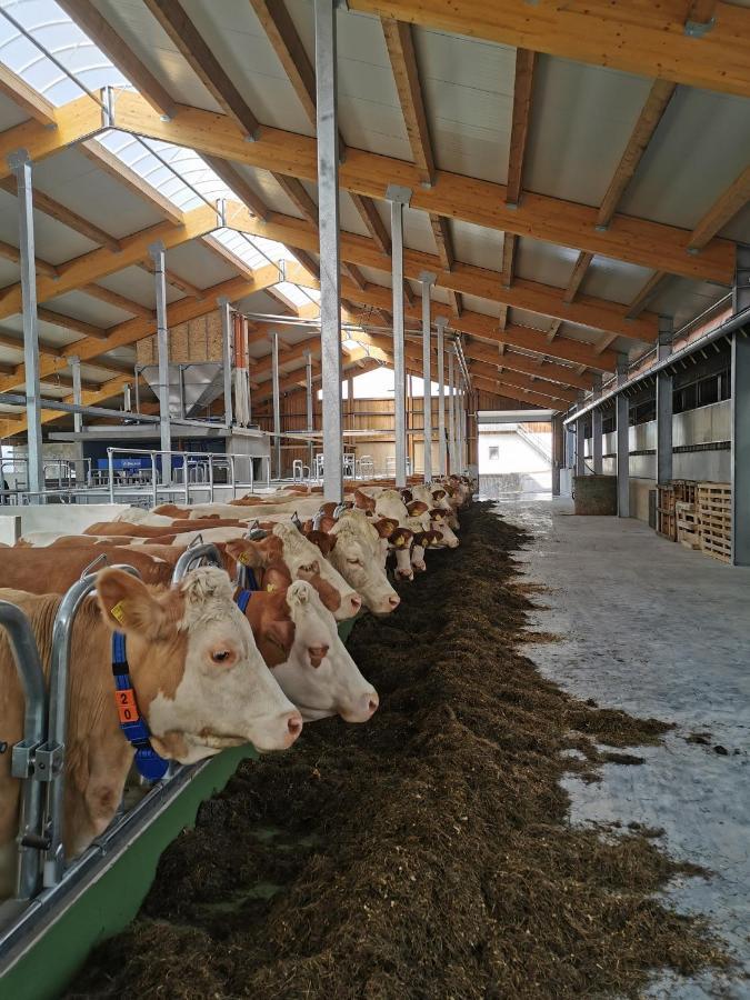 Woferlhof, Ferienhof Boxhorn Böbrach Eksteriør bilde